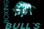 Bulls logo